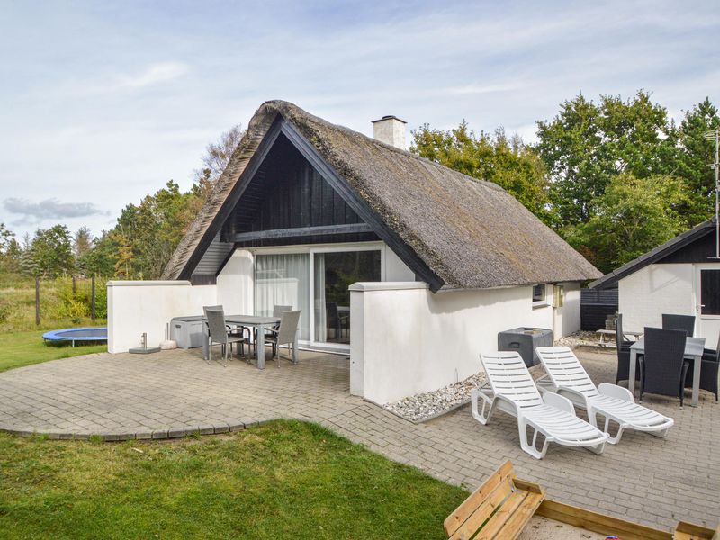 23730512-Ferienhaus-6-Blåvand-800x600-0