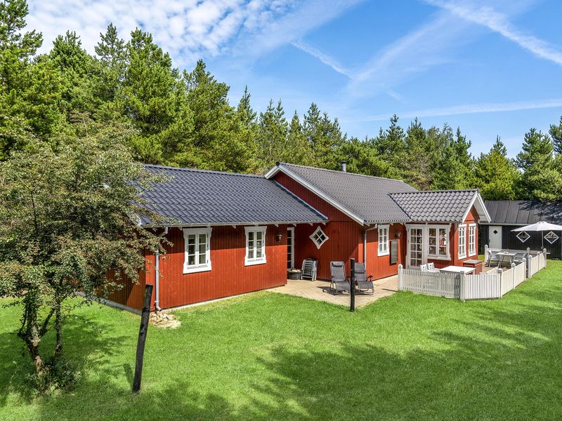 23732996-Ferienhaus-8-Blåvand-800x600-0