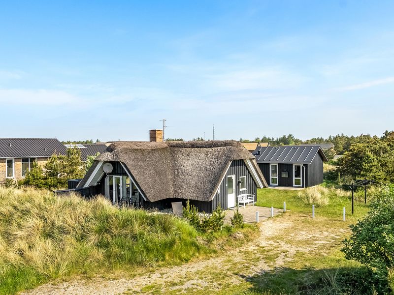 23724133-Ferienhaus-6-Blåvand-800x600-0