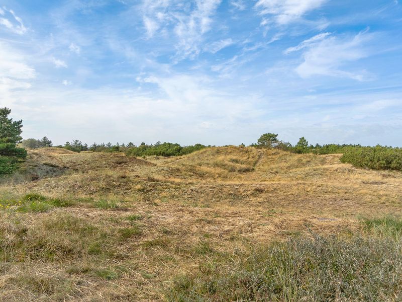 23728735-Ferienhaus-10-Blåvand-800x600-1