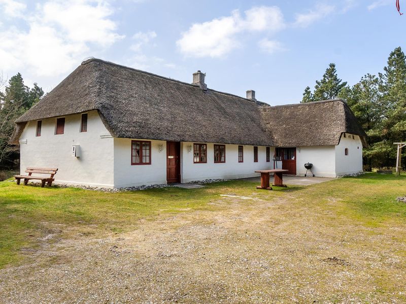 23719502-Ferienhaus-6-Blåvand-800x600-0