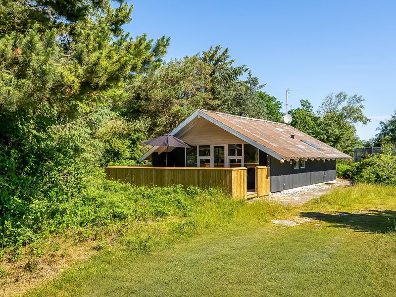 23719512-Ferienhaus-5-Blåvand-800x600-0