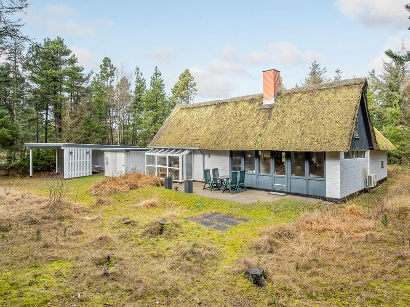 23761989-Ferienhaus-6-Blåvand-800x600-0