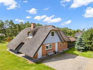 23864004-Ferienhaus-8-Blåvand-300x225-3