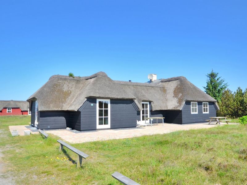 23862884-Ferienhaus-10-Blåvand-800x600-2