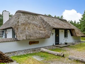 23862950-Ferienhaus-6-Blåvand-300x225-5