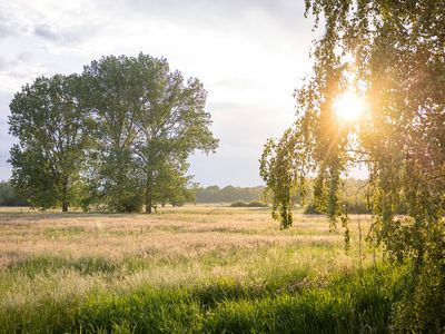 Ferienhaus für 2 Personen (35 m²) in Bleckede 7/10