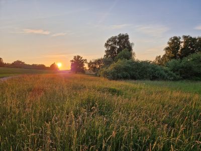 Ferienhaus für 3 Personen (35 m²) in Bleckede 9/10