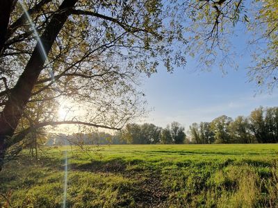 Ferienhaus für 5 Personen (35 m²) in Bleckede 10/10