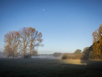 Ferienhaus für 4 Personen (35 m²) in Bleckede 5/10