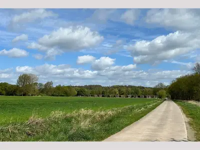 Ferienhaus für 4 Personen (35 m²) in Bleckede 4/10