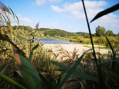 Ferienhaus für 4 Personen (35 m²) in Bleckede 1/10