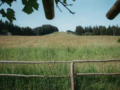 Bussjaegerhof Abendsonnenwiese Ausblick Terrasse