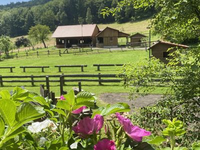 Ausblick_Buren-Hof_