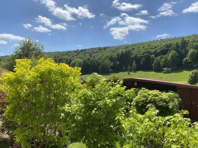 Blick auf den Wald_Buren-Hof_Amelith