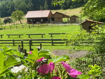 Ferienhaus für 4 Personen (75 m²) in Bodenfelde 6/10
