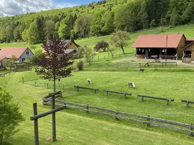 Ferienhaus für 4 Personen (75 m²) in Bodenfelde 7/10