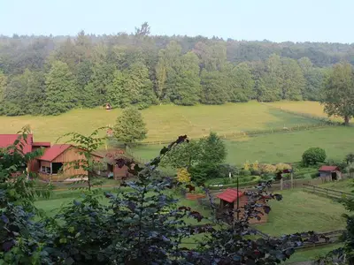 Ferienhaus für 4 Personen (75 m²) in Bodenfelde 9/10