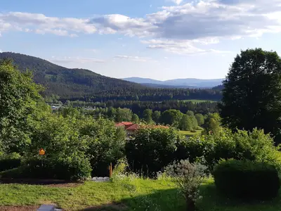 Ferienhaus für 4 Personen (58 m²) in Bodenmais 10/10
