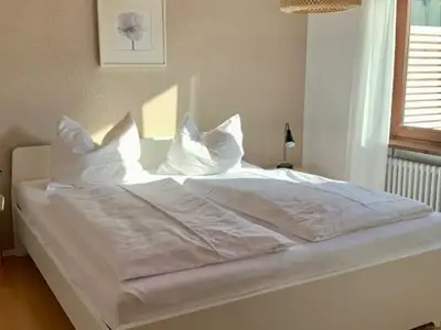 Ferienhaus für 4 Personen (65 m²) in Bodman-Ludwigshafen 1/10