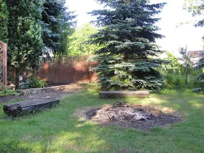 GardenSummer