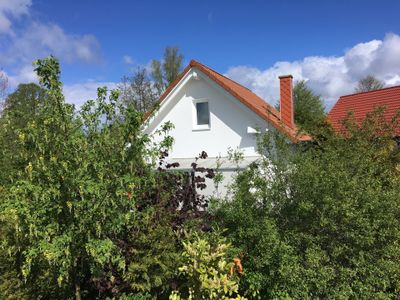 Ferienhaus für 4 Personen (70 m²) in Boiensdorf 9/10