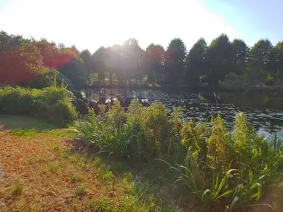 Ferienhaus für 6 Personen (123 m²) in Boizenburg 4/10