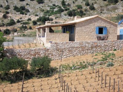 Traditionelles Ferienhaus und Weinberg