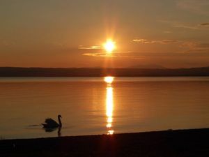 23681470-Ferienhaus-6-Bolsena-300x225-3