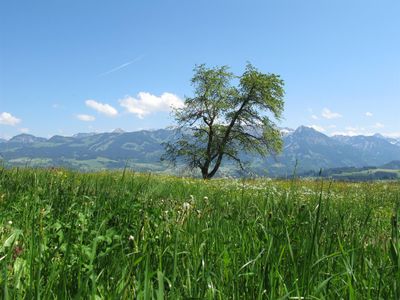 Traumaussicht von der Terrasse