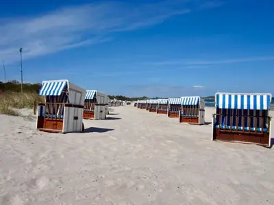 Ferienhaus für 4 Personen (62 m²) in Boltenhagen (Ostseebad) 6/10