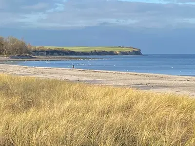 Ferienhaus für 4 Personen (62 m²) in Boltenhagen (Ostseebad) 8/10