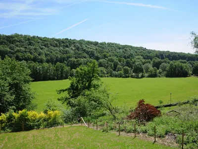 ViewSummer