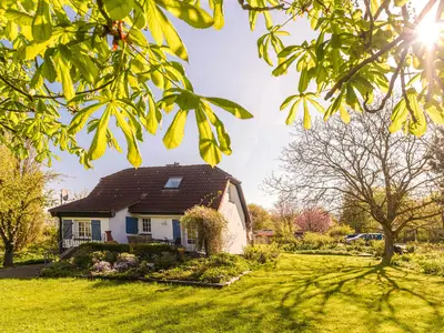 Ferienhaus für 6 Personen (100 m²) in Boren 4/10