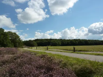 AreaSummer20KM