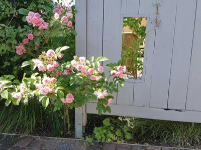 Ferienhaus für 4 Personen (65 m²) in Börgerende 5/10