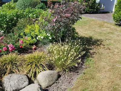 Ferienhaus für 2 Personen (65 m²) in Börgerende 6/10