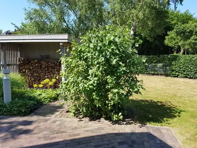 Ferienhaus für 4 Personen (65 m²) in Börgerende 3/10