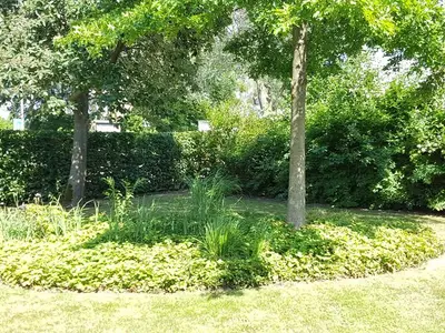 Ferienhaus für 4 Personen (65 m²) in Börgerende 4/10