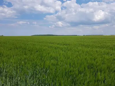Ferienhaus für 4 Personen (65 m²) in Börgerende 9/10