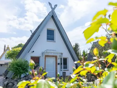 Ferienhaus für 3 Personen (55 m²) in Börgerende-Rethwisch 2/10