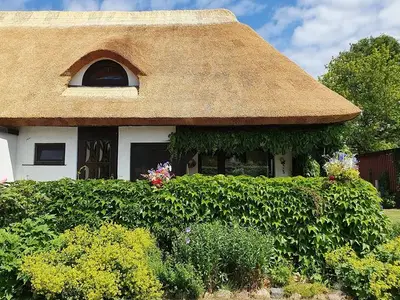 Ferienhaus für 4 Personen (60 m²) in Börgerende-Rethwisch 1/10