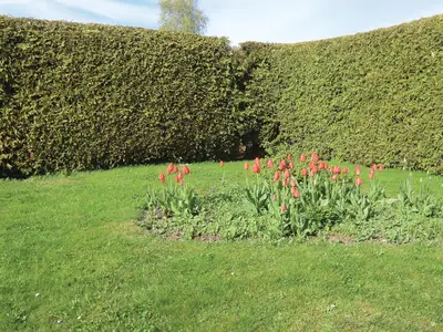 outside