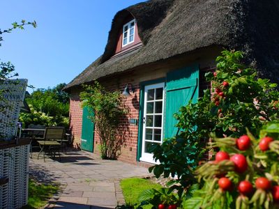 Ferienhaus für 5 Personen (75 m²) in Borgsum 1/10