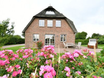 Ferienhaus für 4 Personen (120 m²) in Borgsum 2/10