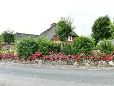 Ferienhaus für 2 Personen (70 m²) in Borgsum 8/10