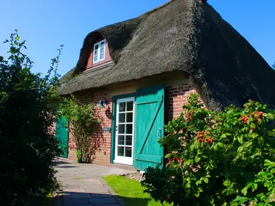 Ferienhaus für 5 Personen (75 m²) in Borgsum 2/10