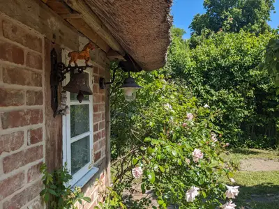Ferienhaus für 4 Personen (125 m²) in Born am Darß 6/10