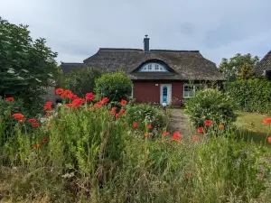 Ferienhaus für 8 Personen (150 m²) in Born am Darß