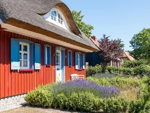 Ferienhaus für 6 Personen (106 m²) in Born am Darß